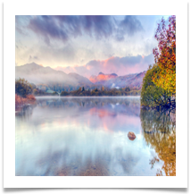 Misty morning - Tony Green